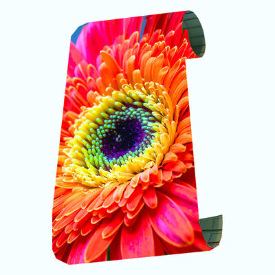 Rollable LED Screen P1.9 Motorized Roll Up Display 1000kg Load Bearing 3840Hz